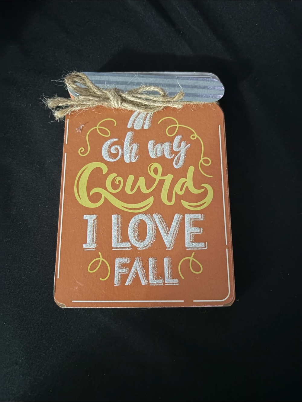Oh My Gourd I Love Fall Wooden Sign - Orange